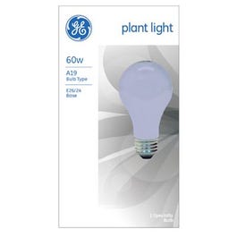 60-Watt Incandescent Plant Light Bulb Online now