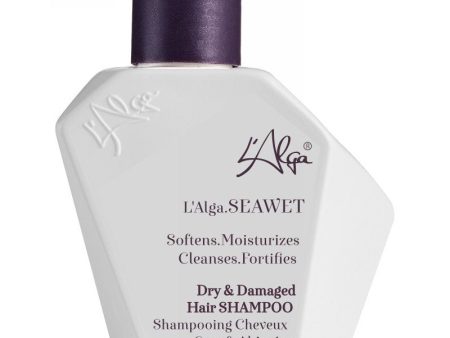 Atstatomasis šampūnas plaukams L Alga SEAWET Shampoo LALA100101, 50 ml Discount