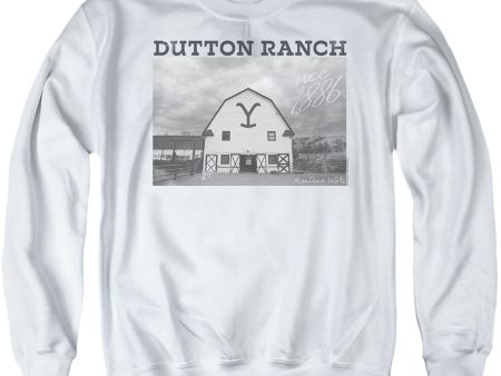 YELLOWSTONE : DUTTON BARN ADULT CREW SWEAT White MD on Sale